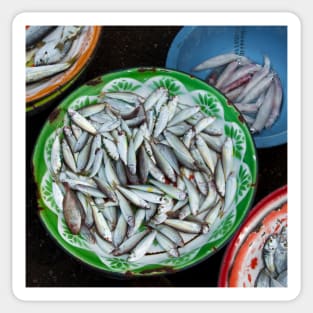 Basins of Fish Sticker